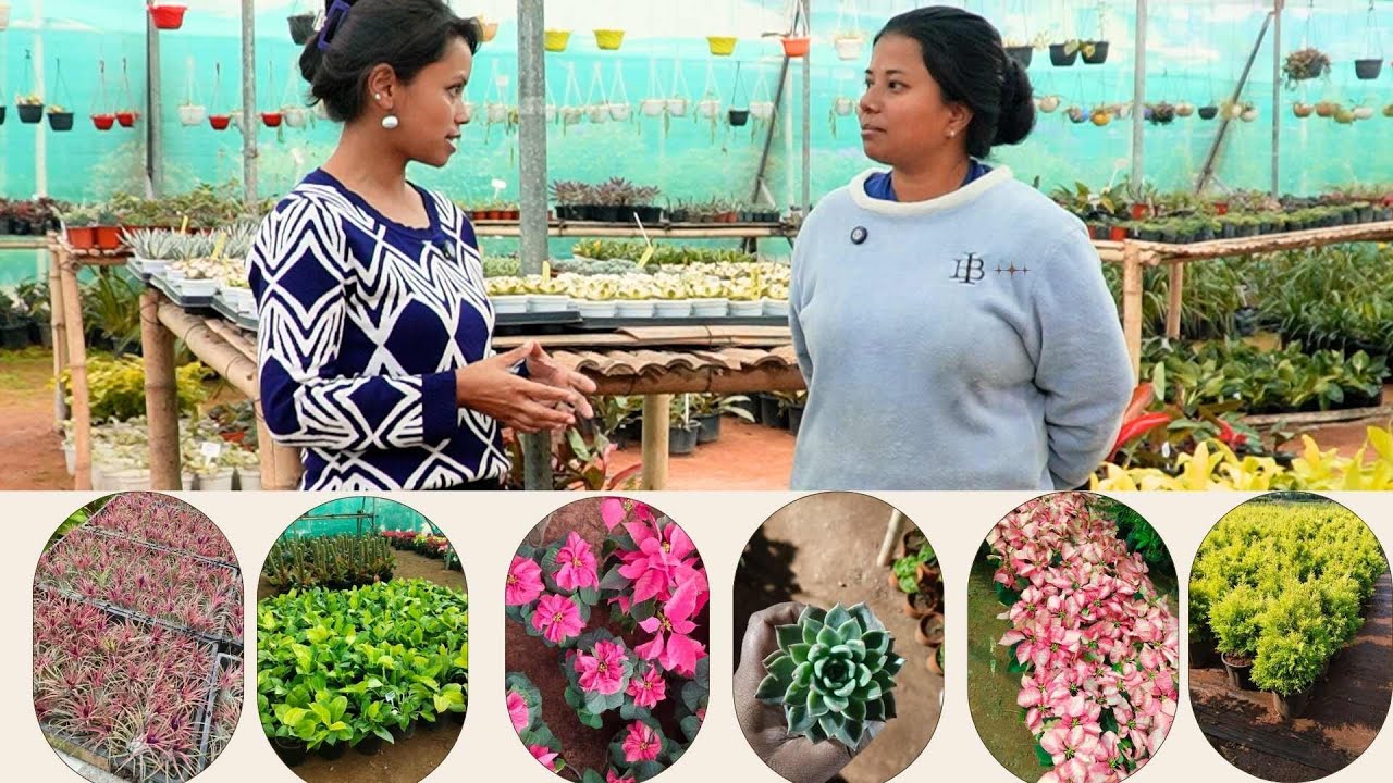 YM POI PYRKHAT KA KMIE BA KA KHUN KAN SENG DA KA JAKA THUNG SYNTIEW KABA HEH