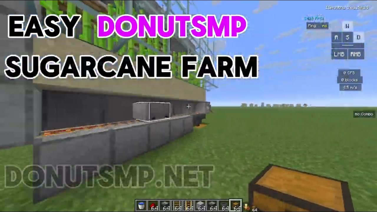 The BEST and Most SIMPLE Sugar Cane Farm for Donut SMP (OP) - YouTube