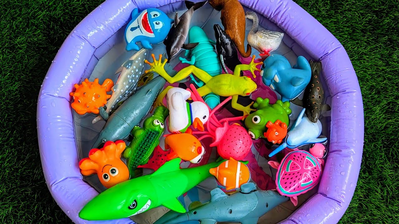 Sea Animal Toys for Kids | Learn Ocean Animal Names & Fun Facts for Preschool Kids
