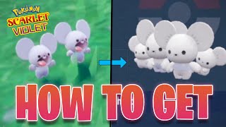 HOW TO GET Tandemaus Maushold both forms in Pokemon Scarlet Violet