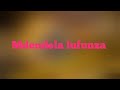 Mdendela Lufunza JINANAI OFFICIAL AUDIO 