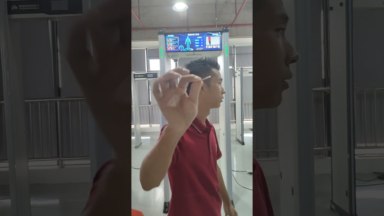 Walk Through Metal Detector 