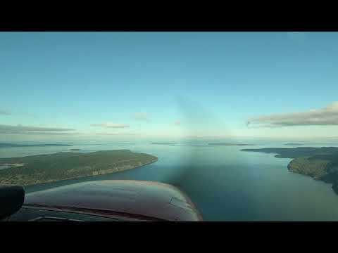 Early Ginger | 1st “Edited” Flying Video