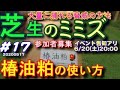 芝生のミミズを捕る方法　動画イベントの告知アリ！参加者募集中　芝活2020#17
