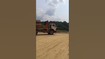 Logging truck going in sawmill factory! ep3 #trendingshorts