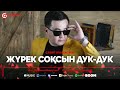 Сабит Жалгасулы - Жүрек соқсын ДУК ДУК / ARIDAI