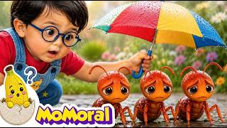 Help the Animals Song | Kids Rhymes | Momoral - Nursery Rhymes