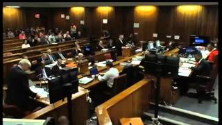 Pistorius Trial: Defence's ballistics expert Tom Wolmarans, proposes new theory