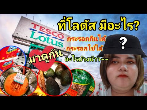 ตามหาสิ่งที่กระรอกกินและใช้ได้ในโลตัส : อาหารกระรอก |กระรอก คลาสสิค