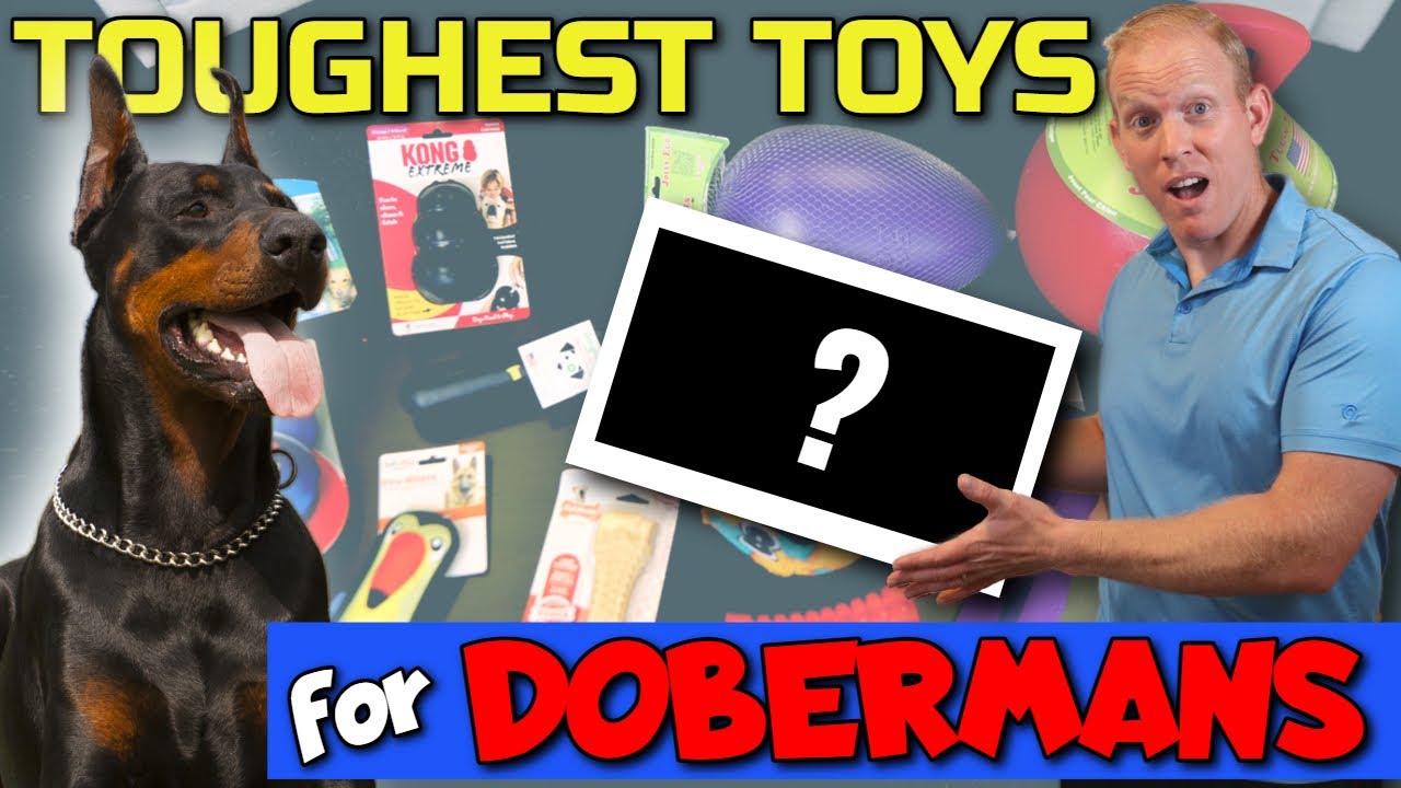 Best Indestructible Toys For Dobermans