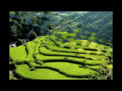 Video Văn Cô Bé Đông Cuông - Khắc Tư-Thanh Ngoan - youtube