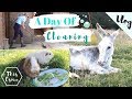 Vlog | A Day of Cleaning the Pets  + Photoshoot Prep! | This Esme