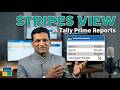 Stripe in Tally Prime Reports and Vouchers Stripe View in Tally Prime
