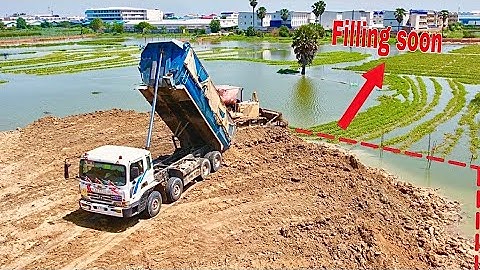 Incredible!! Filling up land processing by bulldozer liugong push soil with dump truck loading soil