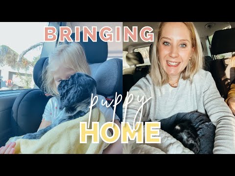 We got the kids a puppy! Week 1 South Africa 🇿🇦