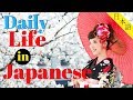 Learn Japanese For Daily Life ?130 Daily Japanese Phrases ? English Japanese