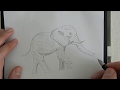 Как нарисовать слона карандашом за 15 минут?