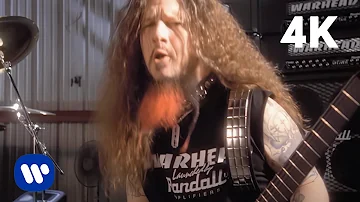 Pantera - Revolution Is My Name (Official Music Video) [4K Remaster]