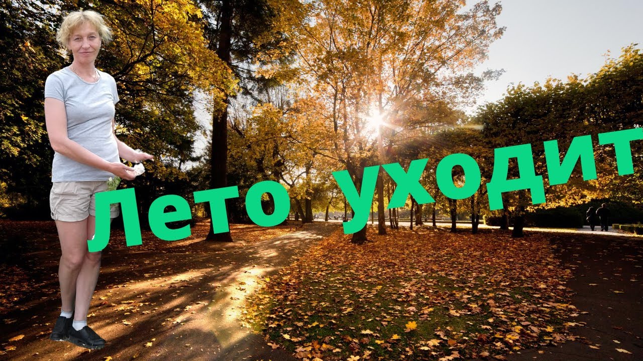 Летом уходит антифриз