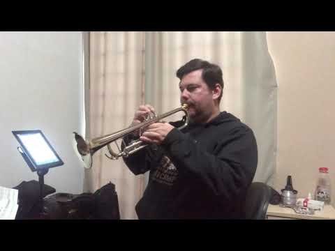 My Foolish Heart - Victor Young / Ned Washington- Cover no trompete