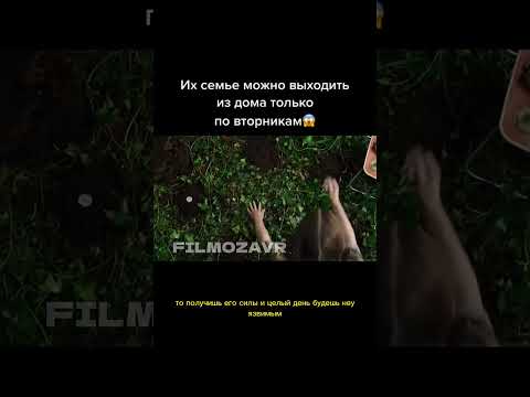 Их Семье Можно Выходить Только По ВторникамShorts Фильм Кино Film