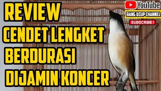 REVIEW CENDET MEWAH INCARAN PARA JURI