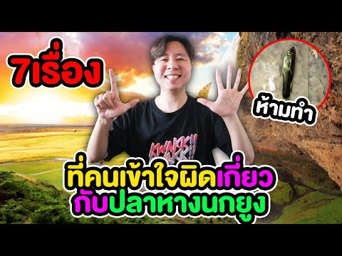 ห้ามทำ 7เรื่องที่คนเข้าใจผิดเกี่ยวกับปลาหางนกยูง ปลาตายเพราะแบบนี้แหละ!!