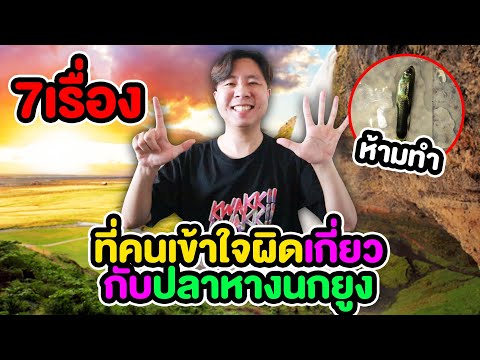 วีดีโอ: ลีลาวดีเป็นพิษต่อแมวหรือไม่?