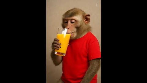 PixVerse V4 5 Image Text 360P ya bandar jo jju 1 #lifeisbutadream #unfrezzmyaccount