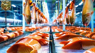 Atlantic salmon farming earns billions of dollars every year | Processing Factory
