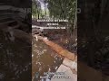 Chácara para investimento!🍀