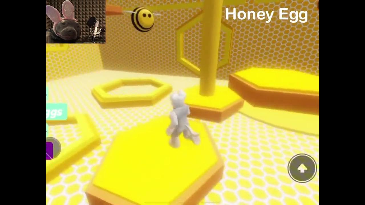 Meatball finds all 45 hidden eggs in Roblox Epic Egg Hunt 2023 with