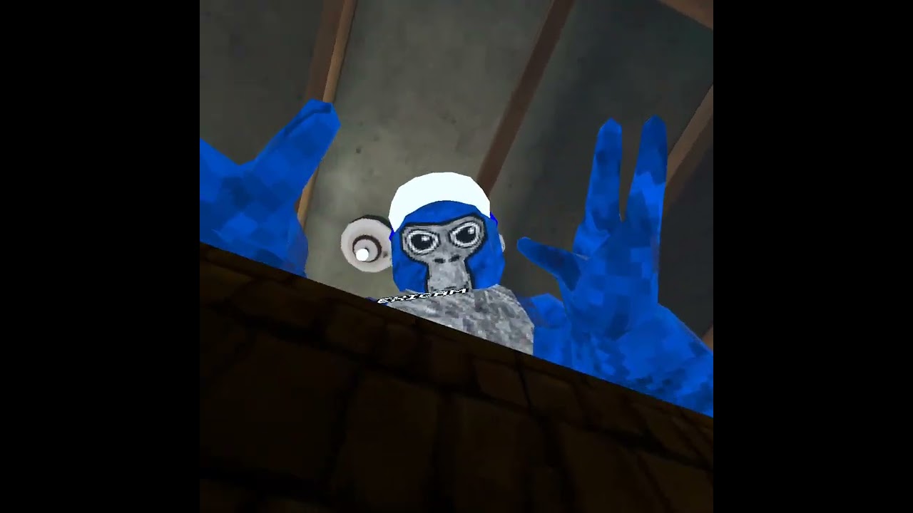 Playing with plexicam (ft.@Plexicam)