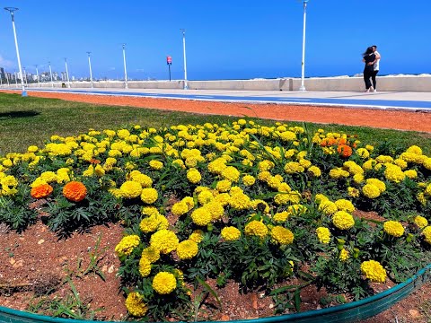 كورنيش البحر رياح قوية في مرسين بتركيا