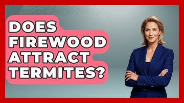 Does Firewood Attract Termites? - Insects and Invaders