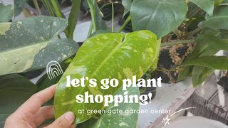 HUGE Hoya & Aroid Sale at Green Gate Garden Center in Seguin, TX!