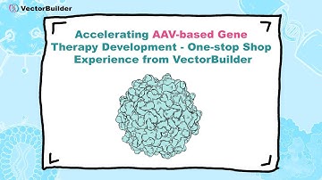 Accelerating AAV-based Gene Therapy Development: One-stop Shop Experience from VectorBuilder