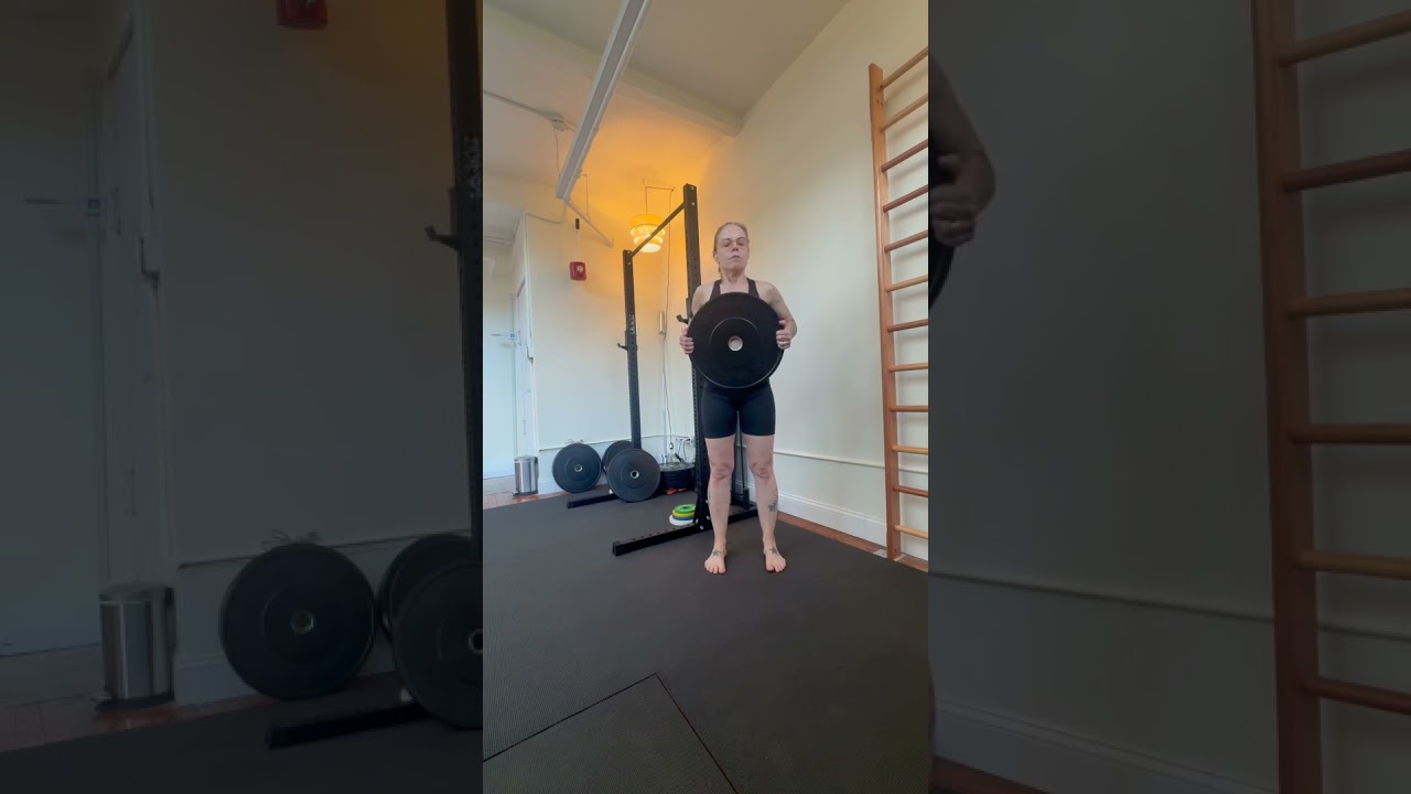 hip hinge with plate