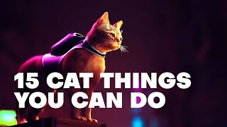 15 Cat Things You Can Do in STRAY