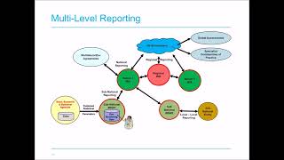 The Indicator Reporting Information System (IRIS) - Alex Caldas (UNEP)