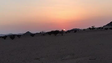 دحيم الحماد 1443ه تلاوة من سورة ق