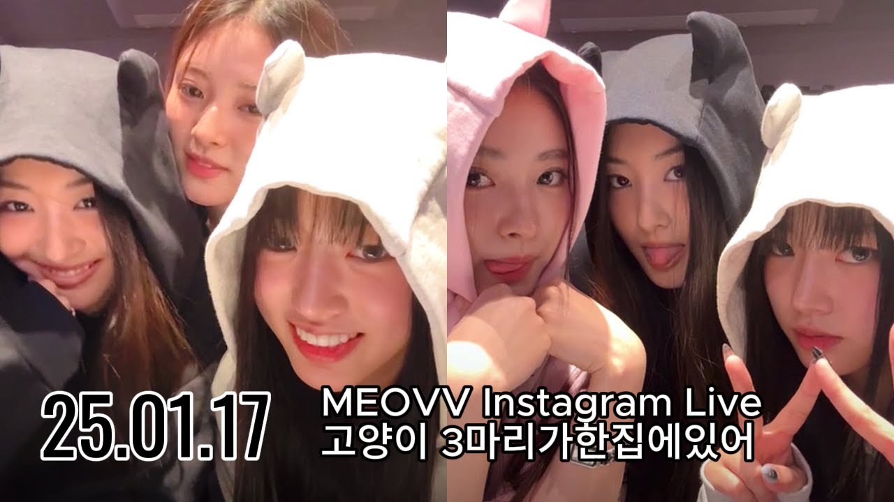 [MEOVV] 250117 MEOVV Instagram Live: 고양이 3마리가한집에있어 #anna #gawon #sooin 💜 Eng Sub