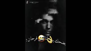 #حاله واتس مهرجان كلبى الروت الجزء التانى 2 غناء حلقولوا نجم الموال _ عمر id
