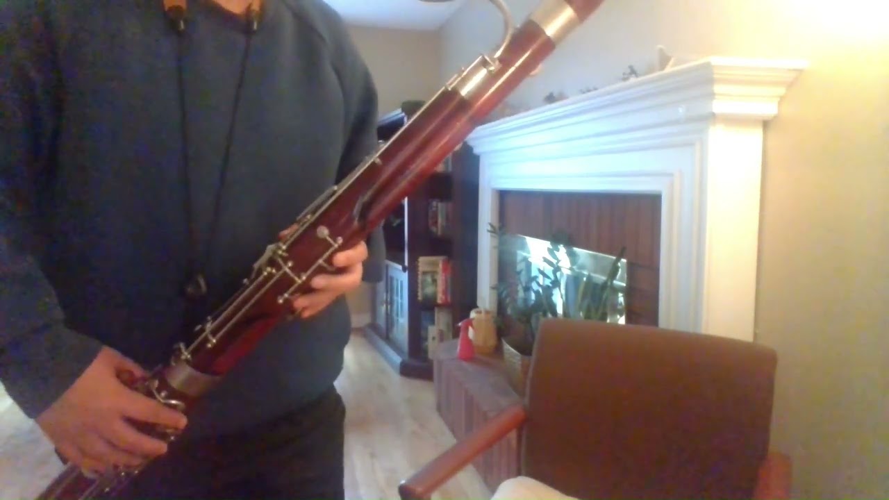 For Sale, King Tempo Bassoon, Made in Germany
