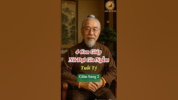 4 con giáp nữ đại gia ngầm #tuvi12congiap #phongthuytuvi93