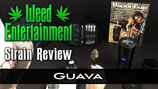 Guava - Sativa - by Scoopz - Strain Review - from Dr. Greenthumb's, Sylmar Ca