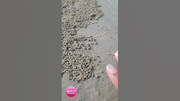 Khao Takiab Huahin Thailand | walk travel