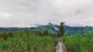 Best Piano Musicneture Whatsapp Status