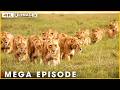 EDGE OF EXTINCTION - Where the Weak Fall First (Full Episode) | Nature Animal Documentary