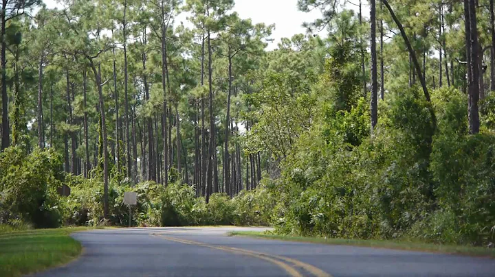 Achieving Environmental Balance: FIU research in the Florida Everglades